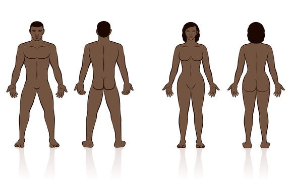 HUMAN BODY - naked black man and woman, front and back view.
