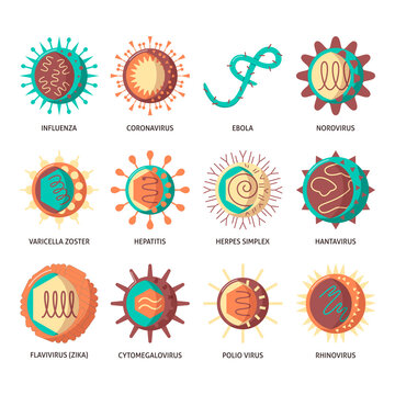 Human viruses icon set in flat style