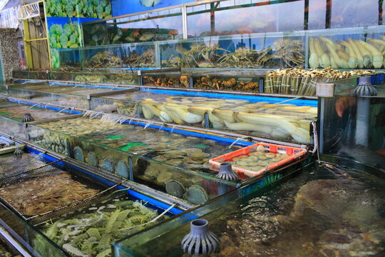 multi seafood in the fish market in china, hong kong Sai Kung