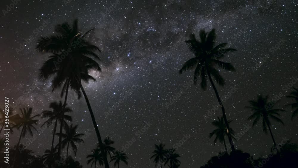 Poster astro time lapse of stars and milky way rotating behind palm trees blowing in wind.