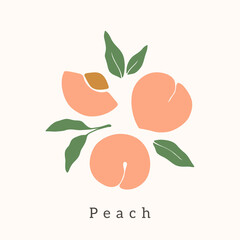 Stylish Peach vector design. Contemporary art print. Abstract hand drawn peach fruit and leaves for postcards, print, posters, covers, etc.