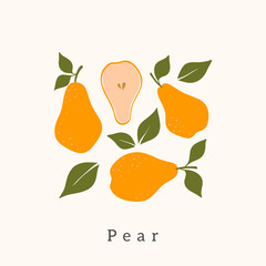 Stylish Pear vector design. Contemporary art print. Abstract hand drawn Pear fruit and leaves for postcards, print, posters, covers, etc.
