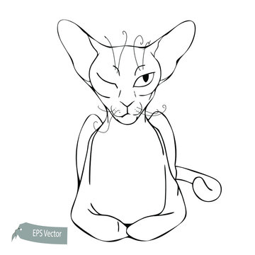 Cat line illustration. Vector. black and white. Ink style illustration. Hand drawn. Sketch 