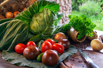 cooking food. seasonal vegetables on the table for a vegetarian recipe