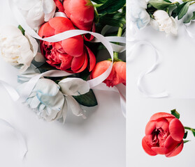 collage of red and white peonies with ribbon on white background