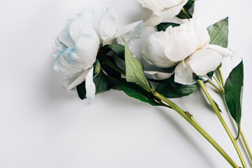 Top view of blue and white peonies with ribbon on white background