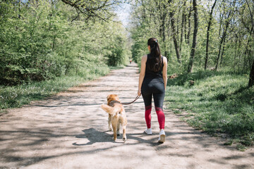 Back of girl with dog walking on forest route. Back view of girl in sport outfit walking with her...