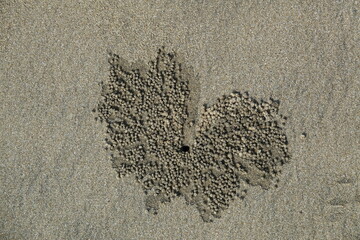 Heart shape pattern on the beach created by insects at