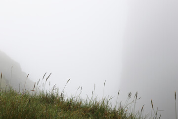 green grass and fog mountain backgrund