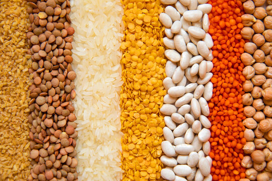 Aligned some legumes, red lentil, dry chickpeas, beans, bulgur wheat, rice and yellow lentils.