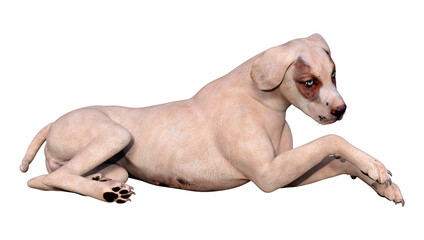 Obraz na płótnie Canvas 3D Rendering Crossbreed Dog on White
