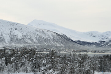 snowy forest and tromsdalen mainland