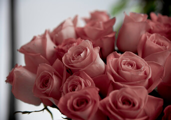 Bouquet of pink roses