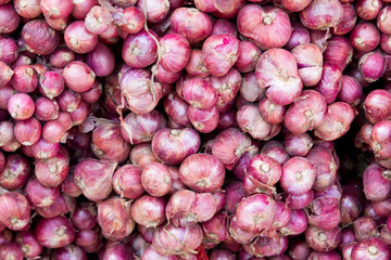 red onions background