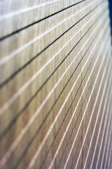 organic wooden pattern -stripes structure