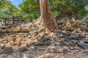  Beng Mealea temple ruins and banyan tree, the Angkor Wat style located east of the main group of temples at Angkor, Siem Reap, Cambodia.