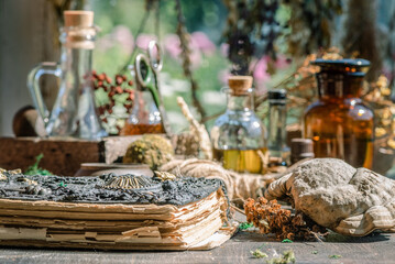 Obraz na płótnie Canvas Magic potion bottles, spell book and dried plants on the witch doctor table. Witchcraft.
