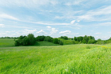 Splendid scenery with green grass fields and blue cloudy sky in the North-West of Russia.