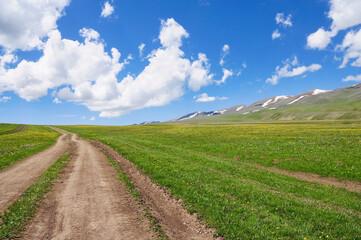 Fototapeta na wymiar Fluffy clouds in a clear blue sky over the Assy Plateau in Kazakhstan's Tien Shan mountains. near Almaty