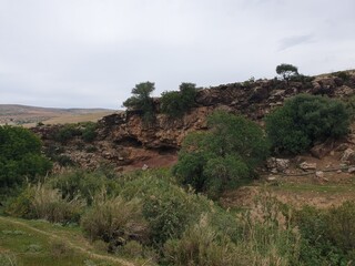 A magical look at nature