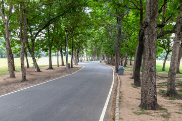 Perspective of path way in public park.