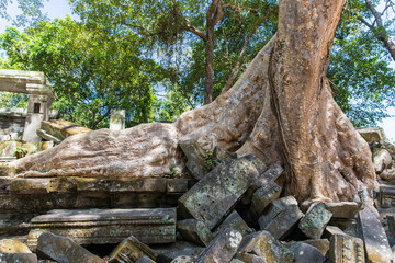 Fototapeta na wymiar Beng Mealea temple ruins and banyan tree, the Angkor Wat style located east of the main group of temples at Angkor, Siem Reap, Cambodia.