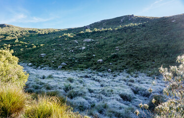 Fototapeta na wymiar Frost early morning, at the altitude grasslands in Itatiaia National Park (Brazil), after a cold night with negative degrees