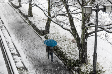 A man walking in snow fall with umbrella.