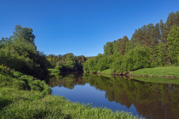 Fototapeta na wymiar Beautiful summer landscape, forest trees are reflected in calm river water against a background of blue sky.