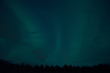 Fototapeta na wymiar aurora borealis northern light on winter night sky over trees