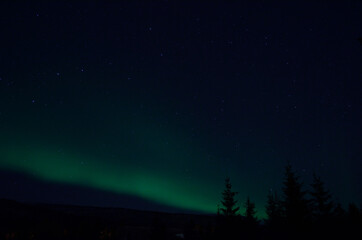 aurora borealis northern light on winter night sky over trees