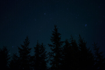 Naklejka premium aurora borealis northern light on winter night sky over trees