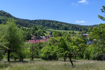 Fototapeta na wymiar Hügel mit Obstbäumen in Thüringen vor Dorf, Fichtenwald und blauem Himmel