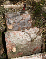Holzst&uuml;cke mit Axt im Wald