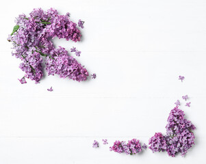 Beautiful lilac blossom on white wooden background, flat lay. Space for text