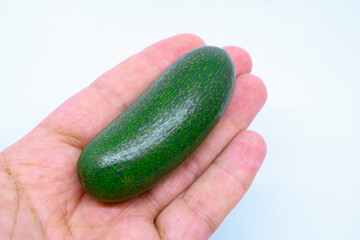 One mini avocado lying inside of hand palm on white background. A special cultivated exotic green vegan food for healthy living with space for text