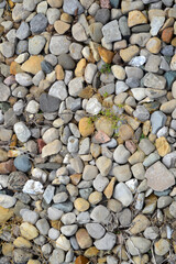 Bundle of Colorful Rocks in Nature