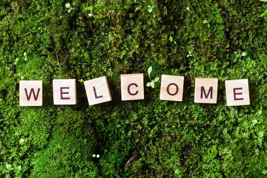 Word welcome. The word welcome is written on a background of moss. The letters on the wooden blocks add up to the word welcome. The view from the top