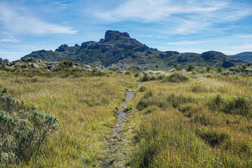 Fototapeta na wymiar Trail towards Couto Stone (Morro do Couto) in Itatiaia National Park, Brazil ('Travessia Couto-Prateleiras')