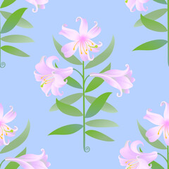 The stylized image of a lily. Vector graphics. Seamless pattern