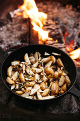 Roast forest mushrooms, potatoes, onions and seasonal herbs in a cast iron pan over an open fire outdoors.