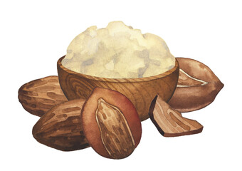 Watercolor wooden bowl with shea butter inside and nuts around