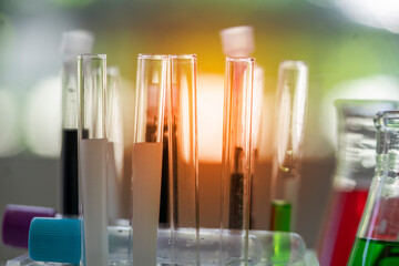 Test tubes in the scientist's room.