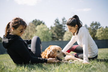 Fototapeta premium Portrait of lying dog on ground with grass and two girls. Low section view of girls petting god while sitting on ground with grass in pak.