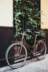 Fototapeta na wymiar Vintage bicycle and window covered of plants