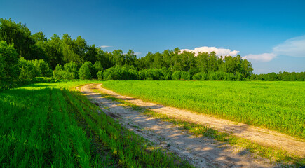 road in the field