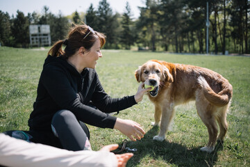 Girl holding ball while dog is trying to bite it. Dog with ball standing on grass while playing with young woman in park during sunny day.