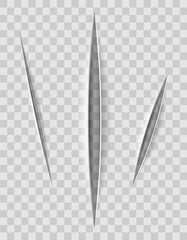 realistic paper cuts with a knife with a transparent background for design vector illustration