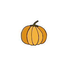orange pumpkin. autumn blanks. fresh harvest. Halloween attribute. juicy vegetable. Vector illustration
