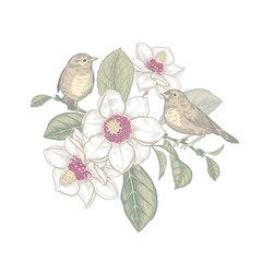 Frühlingsvektorillustration. Zwei kleine niedliche Vögel auf dem Baumzweig der blühenden Magnolie. © marinavorona